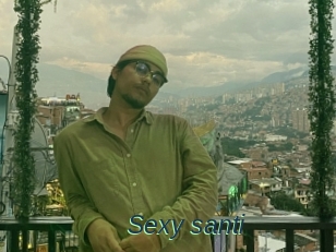Sexy_santi