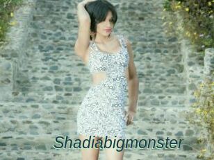 Shadiabigmonster