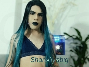 Shaneilysbig