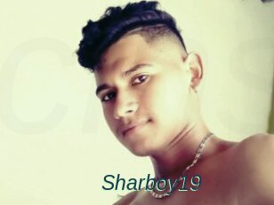 Sharboy19