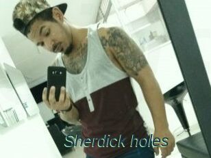 Sherdick_holes