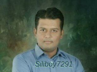 Siliboy7291
