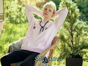 Silkydave