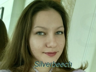 Silverbeech