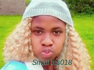 Small_tits018