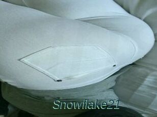 Snowflake21