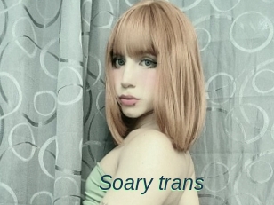 Soary_trans