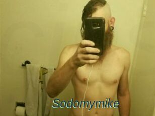 Sodomymike