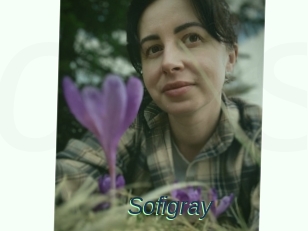 Sofi_gray
