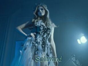 Splitmind
