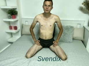 Svendix
