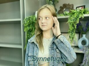 Synnefugler