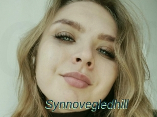 Synnovegledhill