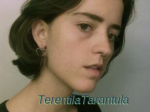 TerentilaTarantula