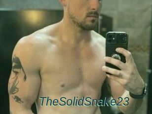 TheSolidSnake23