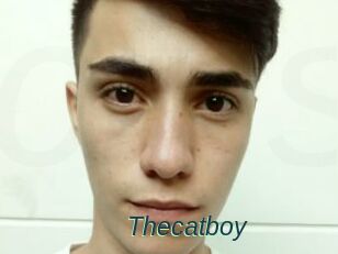Thecatboy