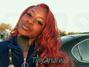 TinyAndrea