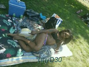 TinyD30