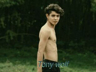 Tony_wolf