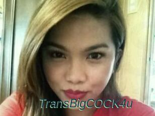TransBigCOCK4u
