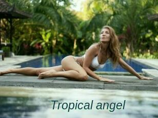 Tropical_angel