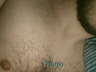 Trotro