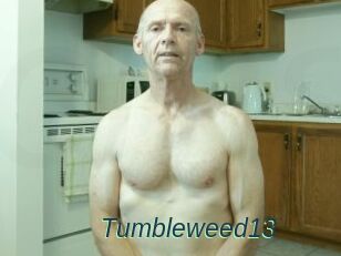 Tumbleweed13