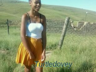 Turtledovey