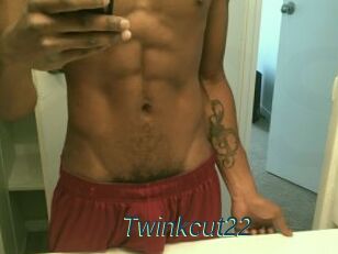 Twinkcut22
