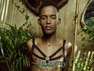 Teylorray