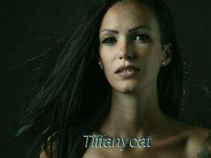Tiffanycat