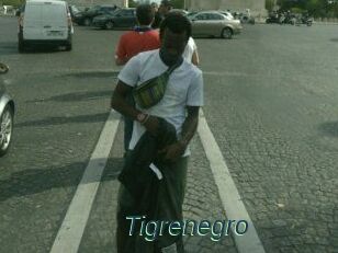 Tigrenegro