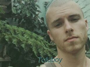 Tofu_boy