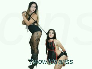Twowildtranss