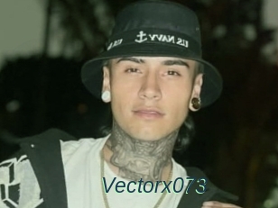 Vectorx073