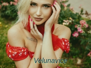Velunavice