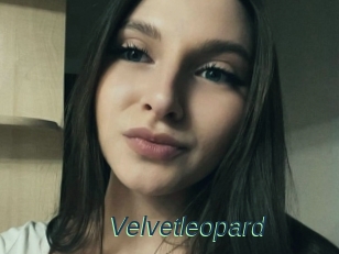 Velvetleopard