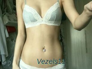 Vezels11