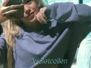 Violetcollen