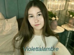 Violettalambre