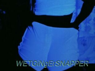 WETGiNgErSNAPPER