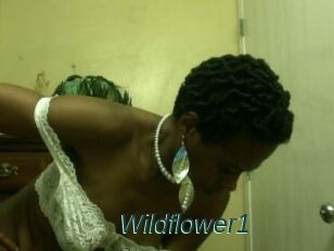 Wildflower1