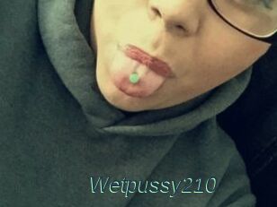 Wetpussy210