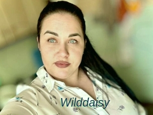 Wilddaisy