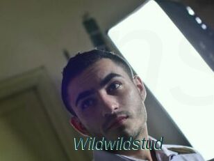 Wildwildstud