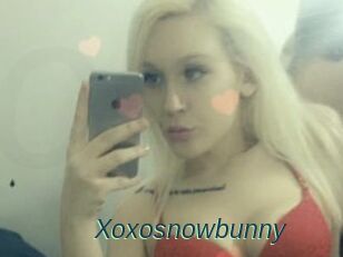 Xoxosnowbunny