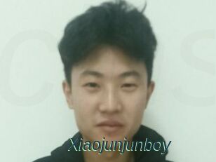 Xiaojunjunboy