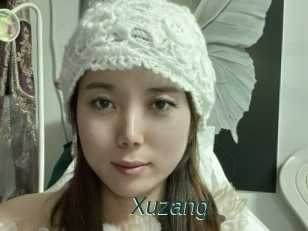Xuzang