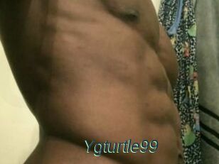 Ygturtle99