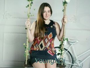YoungXDi